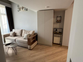 Appartement central